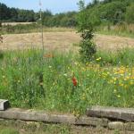 images/galeries-photos/chalet-08/ch08-002-sept2012.jpg